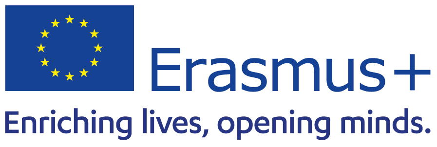 Erasmus Eces European Centre For Electoral Support